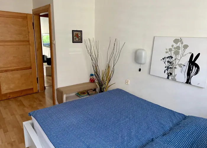 Apartament Joanna Parter Blisko Onkologii I Strefy Ekonomicznej