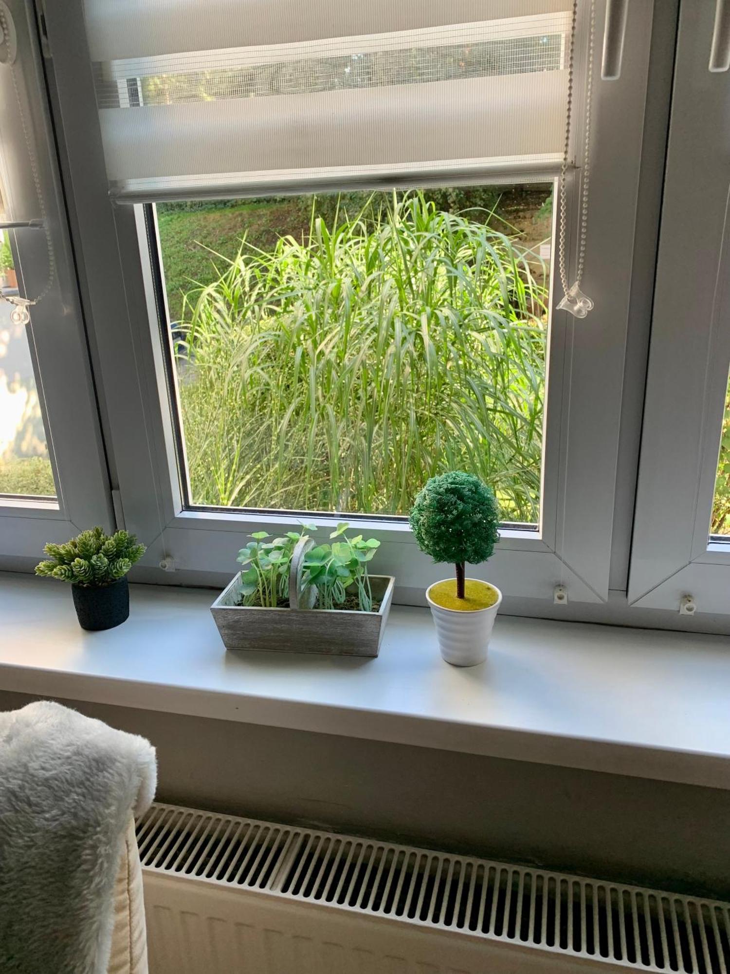 Joanna Parter Blisko Onkologii I Strefy Ekonomicznej Apartament *