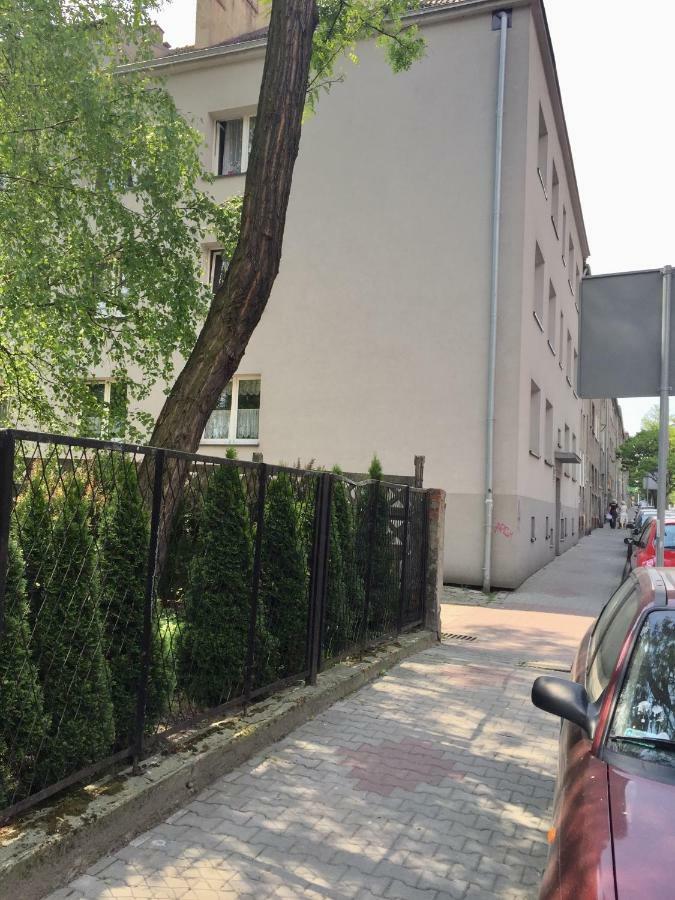 Joanna Parter Blisko Onkologii I Strefy Ekonomicznej Gliwice